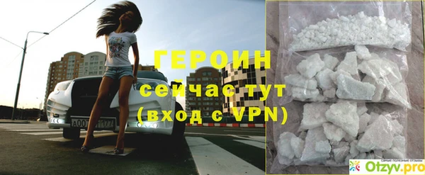 стаф Новодвинск