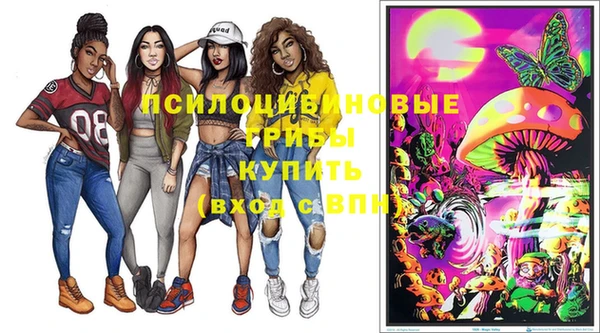 ешки Новозыбков