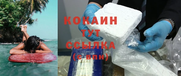 ешки Новозыбков