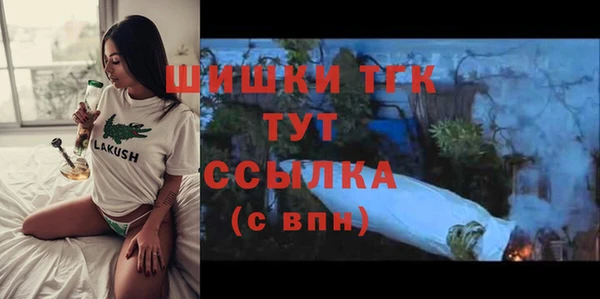 стаф Новодвинск
