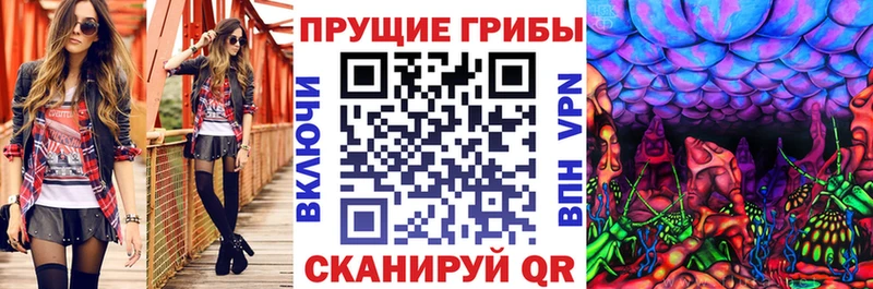 Купить где  Чехов  Псилоцибиновые грибы мицелий 